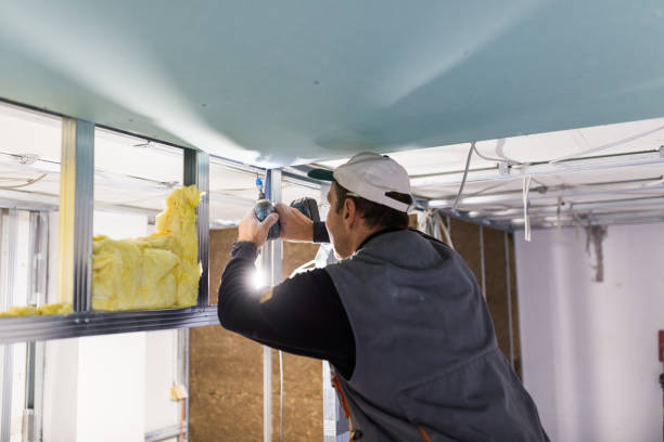 Best Attic Insulation Installation  in Gary, IN